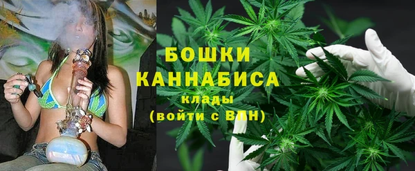 мяу мяу мука Баксан