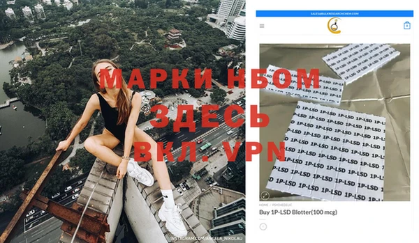 ешки Белокуриха