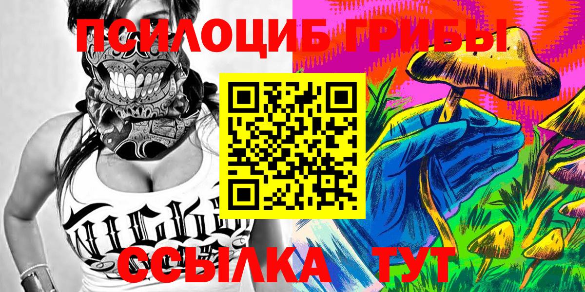 Галлюциногенные грибы Psilocybine cubensis  Псилоцибиновые грибы Magic Shrooms  Егорьевск 