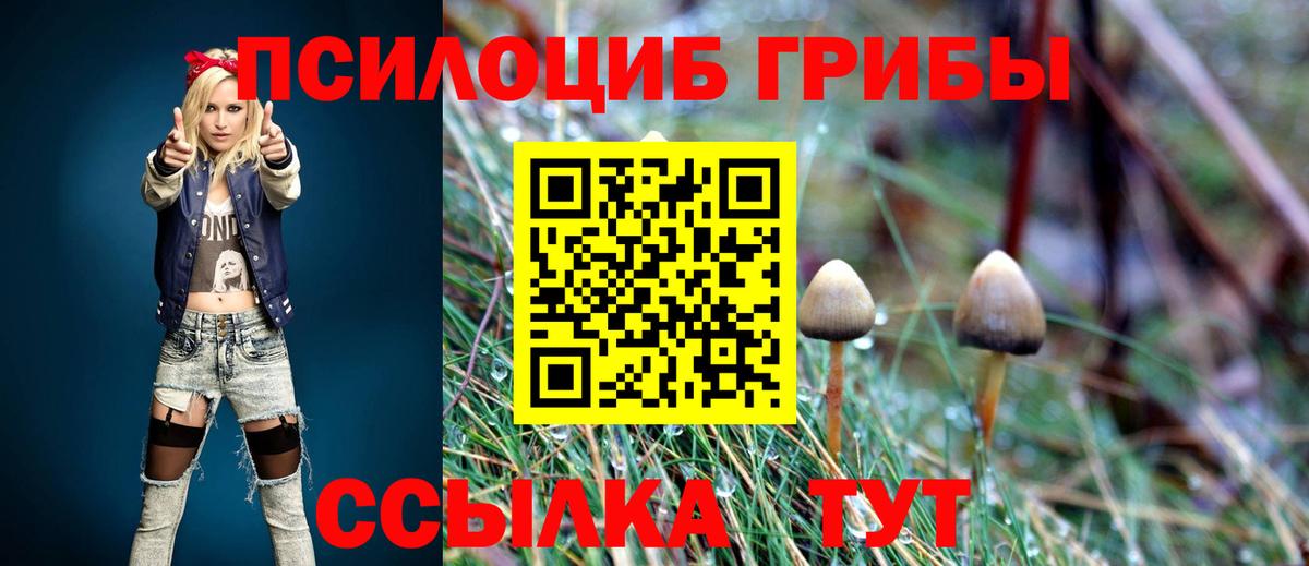 Псилоцибиновые грибы GOLDEN TEACHER  Вход с VPN  Егорьевск  Псилоцибиновые грибы GOLDEN TEACHER 
